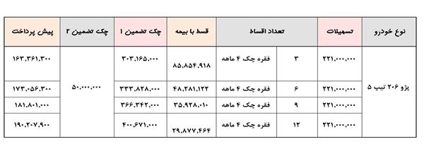 پژو ۲۰۶ تیپ ۵ را اقساطی و باتحویل ۳۰ روزه بخرید